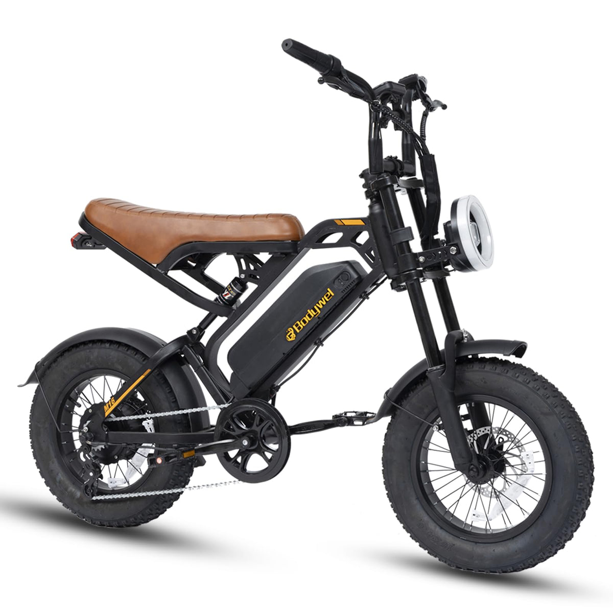 16" Fat Tire Electric Bike for Adults, 48V 13.5Ah Removable Battery, 250W Motor, Dual Suspension E-Bike with LCD Display