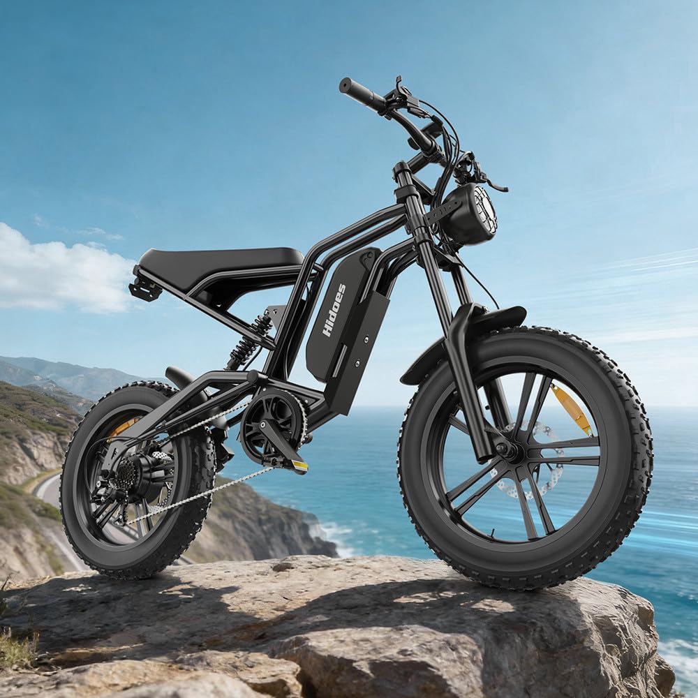 20" Fat Tire Electric Bike for Adults, 48V 15.6Ah Removable Battery, 7-Speed E-Bike with Dual Suspension & LCD Display