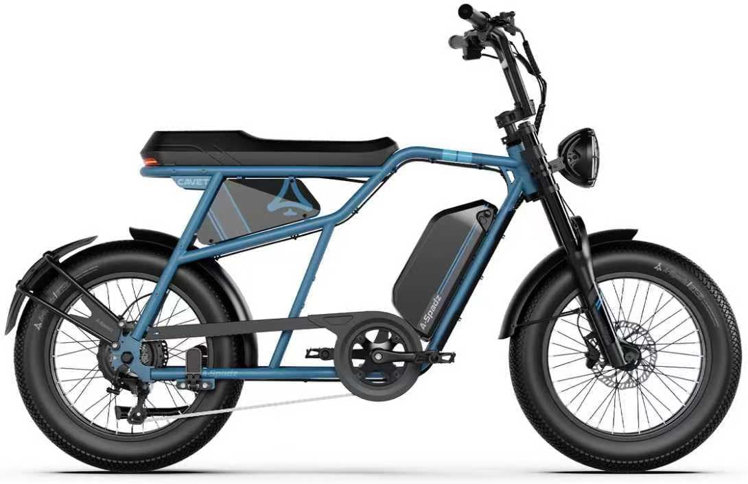 20" Fat Tire Electric Bike for Adults, 48V 15.6Ah Battery, 250W Motor, 7-Speed E-Bike with Dual Suspension
