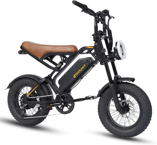 16" Fat Tire Electric Bike for Adults, 48V 13.5Ah Removable Battery, 250W Motor, Dual Suspension E-Bike with LCD Display