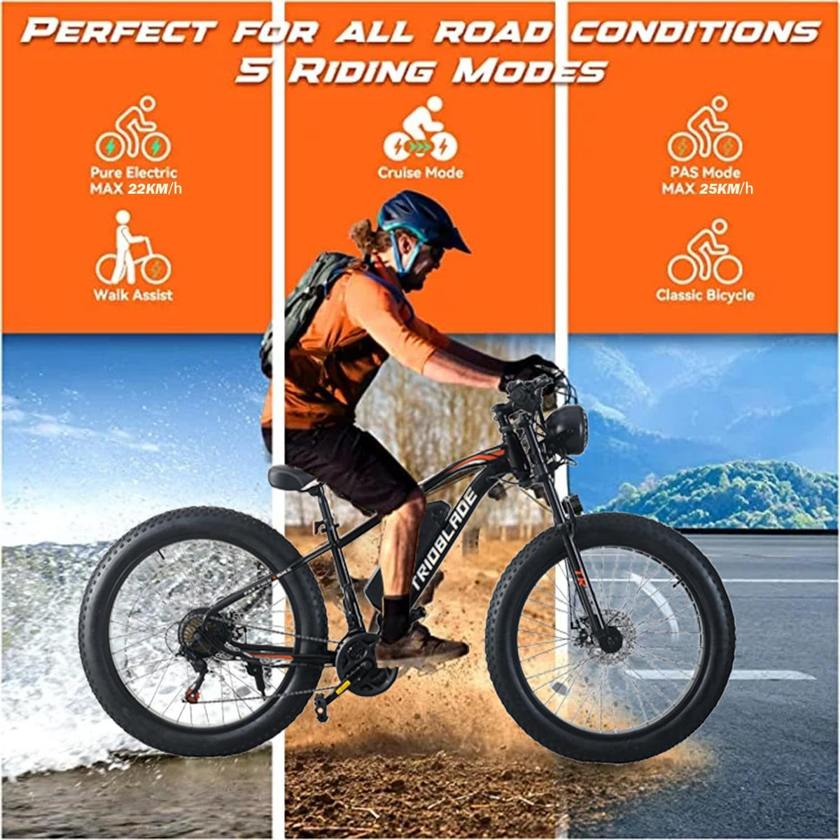 26" Fat Tire Electric Bike for Adults, 36V 10.4Ah Battery, 250W Motor, 21-Speed E-Bike with LCD Display & Dual Disc Brakes