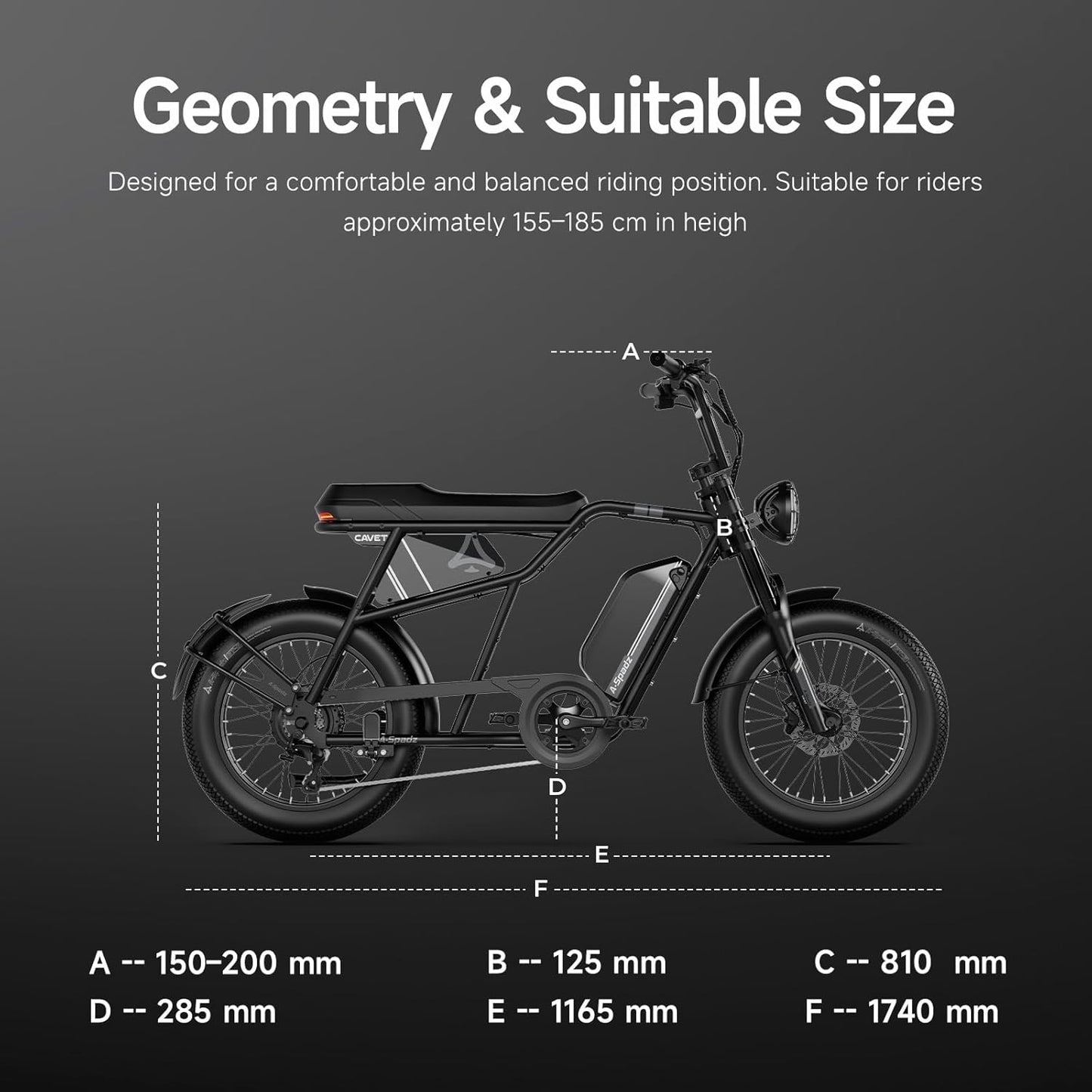 20" Fat Tire Electric Bike for Adults, 48V 15.6Ah Battery, 250W Motor, 7-Speed E-Bike with Dual Suspension