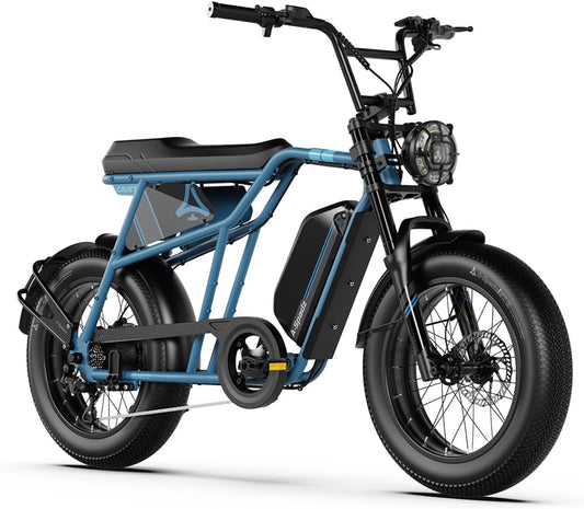 20" Fat Tire Electric Bike for Adults, 48V 15.6Ah Battery, 250W Motor, 7-Speed E-Bike with Dual Suspension