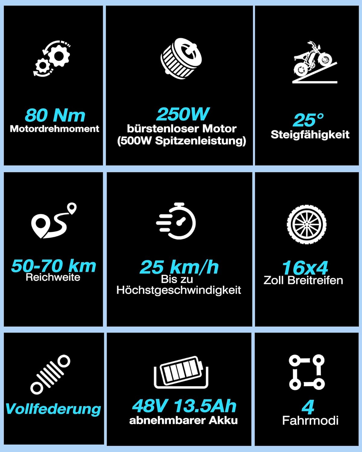 16" Fat Tire Electric Bike for Adults, 48V 13.5Ah Removable Battery, 250W Motor, Dual Suspension E-Bike with LCD Display