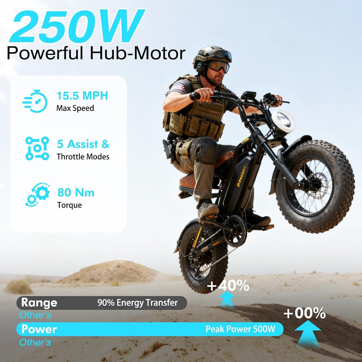 16" Fat Tire Electric Bike for Adults, 48V 13.5Ah Removable Battery, 250W Motor, Dual Suspension E-Bike with LCD Display