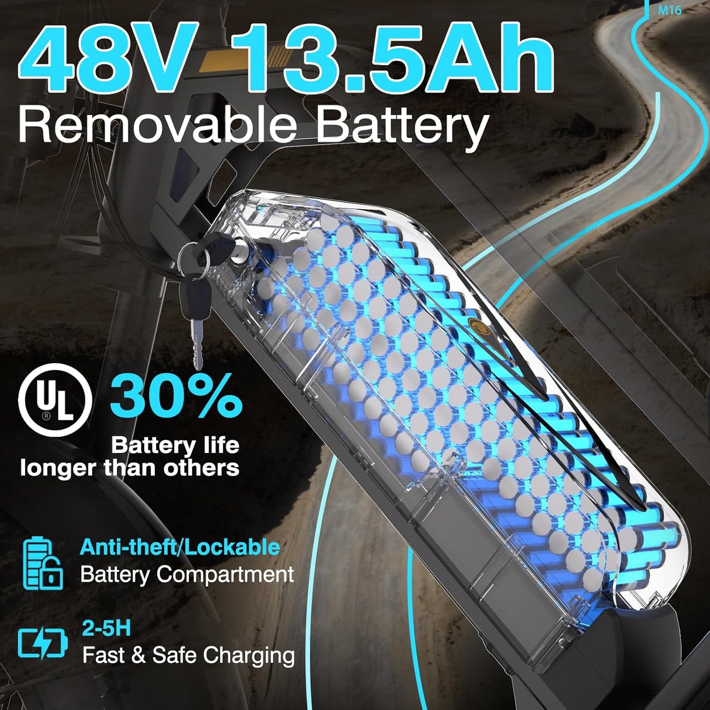 16" Fat Tire Electric Bike for Adults, 48V 13.5Ah Removable Battery, 250W Motor, Dual Suspension E-Bike with LCD Display
