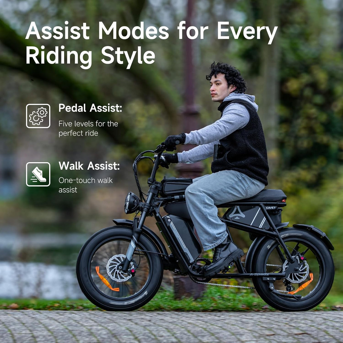 20" Fat Tire Electric Bike for Adults, 48V 15.6Ah Battery, 250W Motor, 7-Speed E-Bike with Dual Suspension