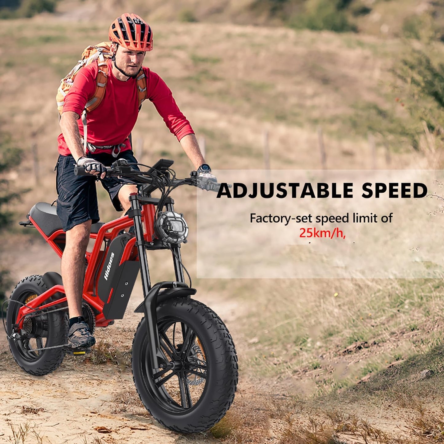 20" Fat Tire Electric Bike for Adults, 48V 15.6Ah Removable Battery, 7-Speed E-Bike with Dual Suspension & LCD Display
